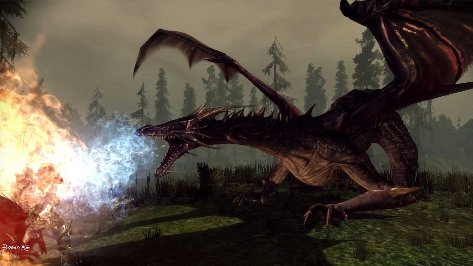 A dark dragon breathing fire across a misty pine forest clearing in Dragon Age: Origins
